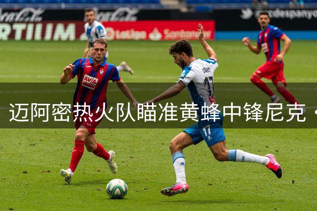 迈阿密热火队瞄准黄蜂中锋尼克·理查兹